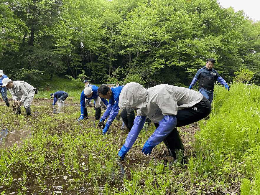 当社スタッフが水田環境の再生に挑戦している写真