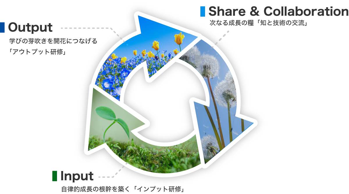 自然界の循環をモチーフにした育成コンセプト図 - Input、OutputとShare & Collaborationを示す図