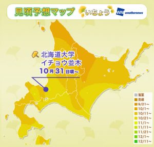 1_koyoMap_yellow_hokkaido_SR