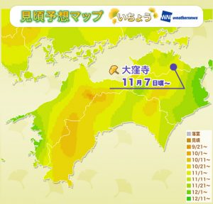 7_koyoMap_yellow_shikoku_SR