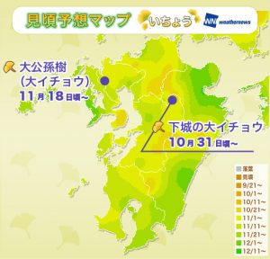 8_koyoMap_yellow_kyushu_SR