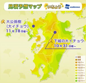 8_koyomap_yellow_kyushu_sr