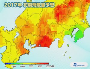 hisan2017_06tokai